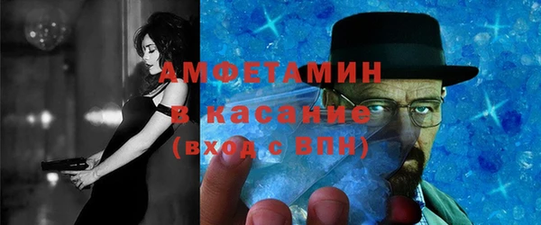 мдпв Бородино
