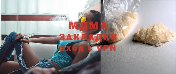 мдпв Бородино