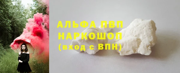 прущие крисы Богданович