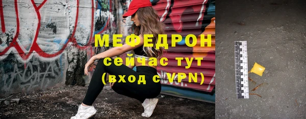 мдпв Бородино