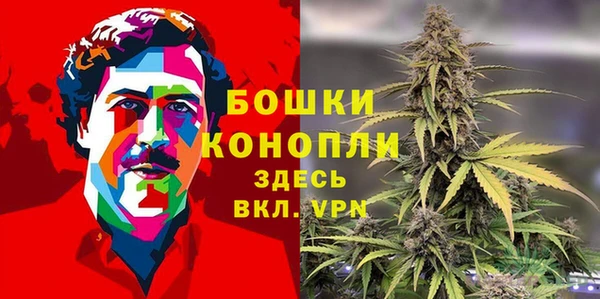 мдпв Бородино