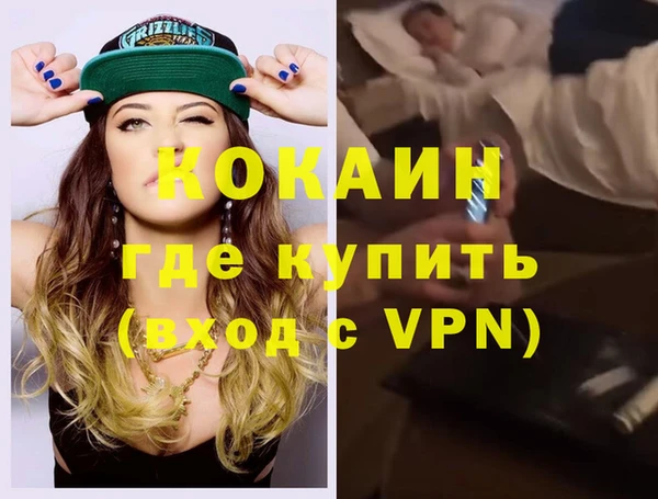 мдпв Бородино