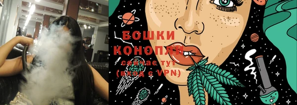 мдпв Бородино