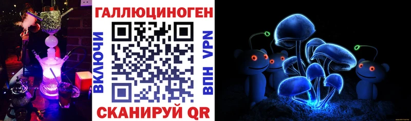 Псилоцибиновые грибы Cubensis Кирсанов